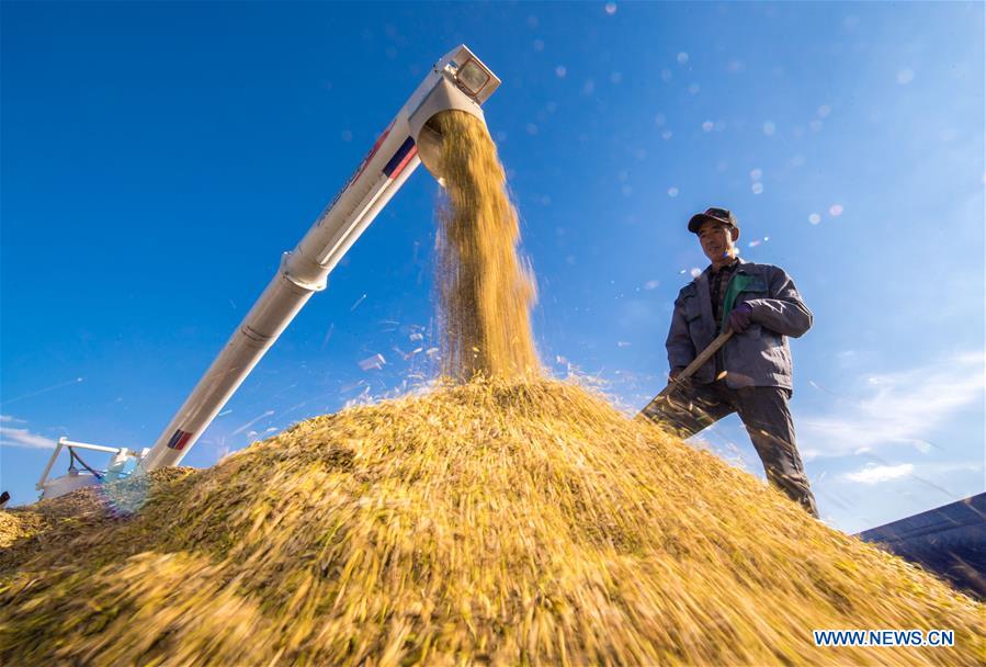 CHINA-MECHANIZED AGRICULTURE (CN)