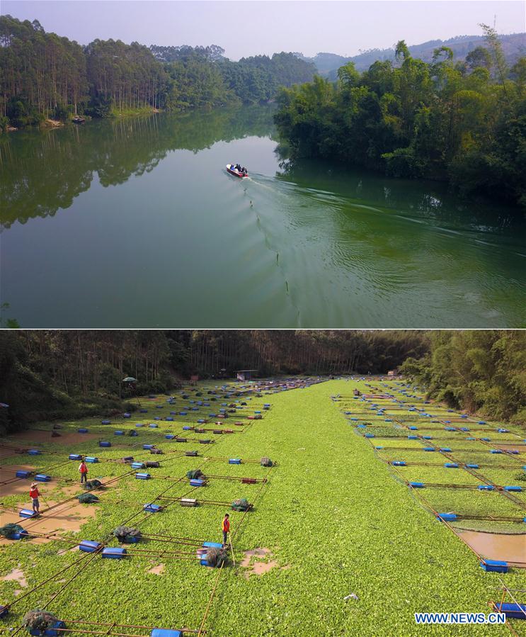 #CHINA-GUANGXI-LIUZHOU-WATER ENVIRONMENT (CN)  