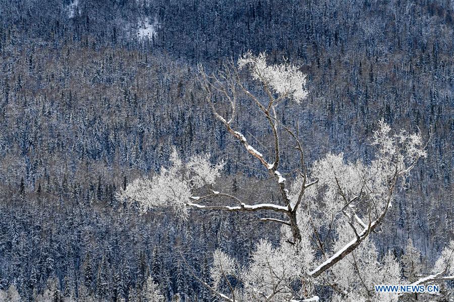 CHINA-XINJIANG-KANAS-WINTER VIEW (CN)