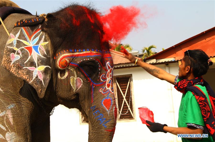 NEPAL-CHITWAN-ELEPHANT FESTIVAL-BEAUTY CONTEST