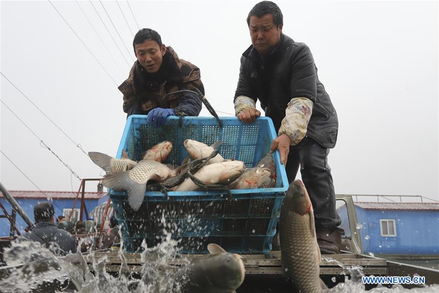 #CHINA-JIANGSU-FISHING (CN)