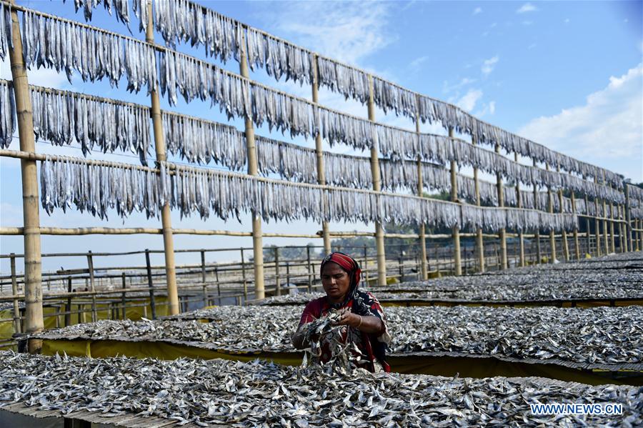 BANGLADESH-COX'S BAZAR-FISH DRYING