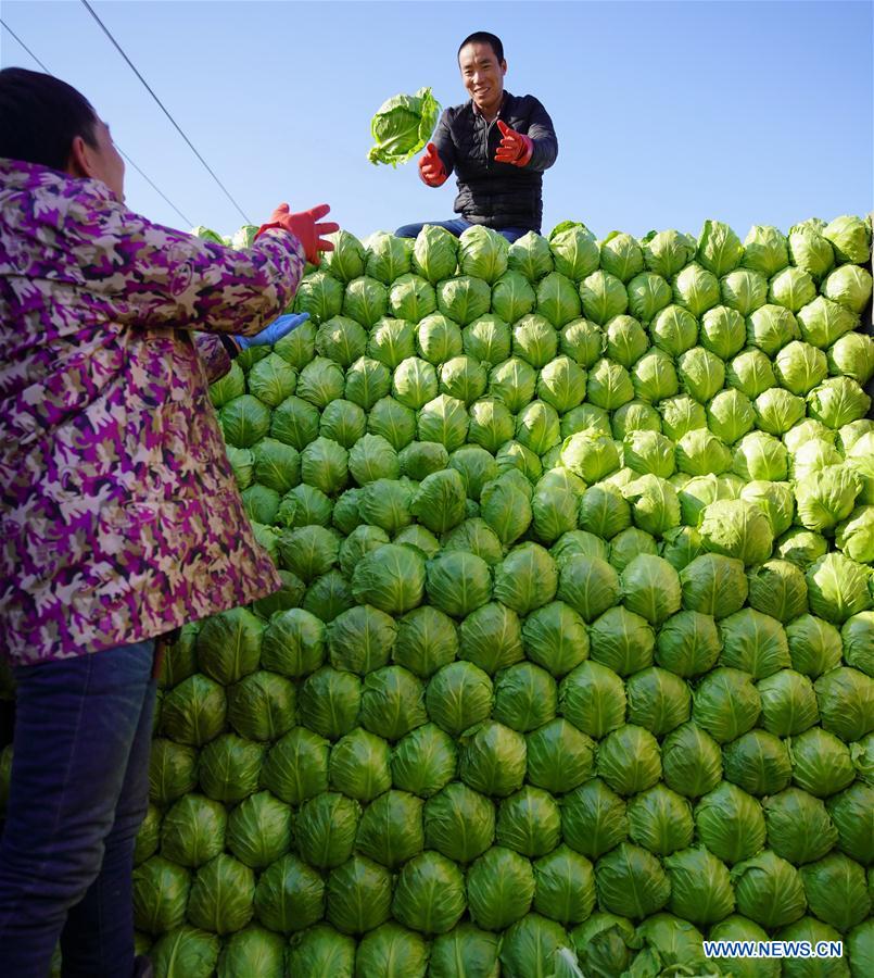 CHINA-SPRING FESTIVAL HOLIDAY-SPENDING EXPECTED (CN)