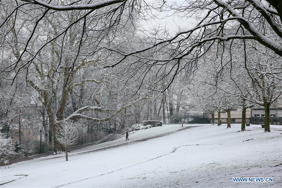 BELGIUM-BRUSSELS-SNOWFALL