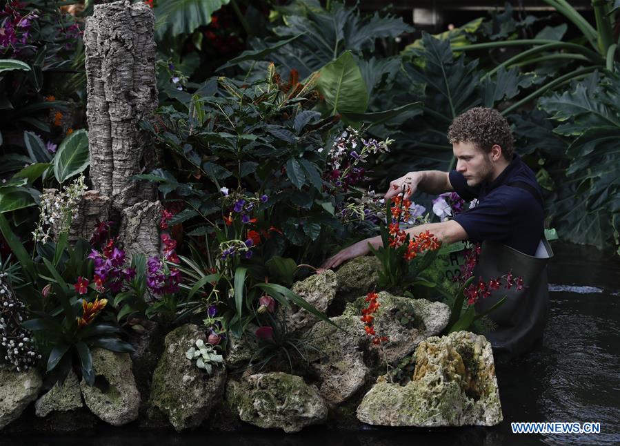 BRITAIN-LONDON-KEW ORCHID FESTIVAL-PRESS PREVIEW