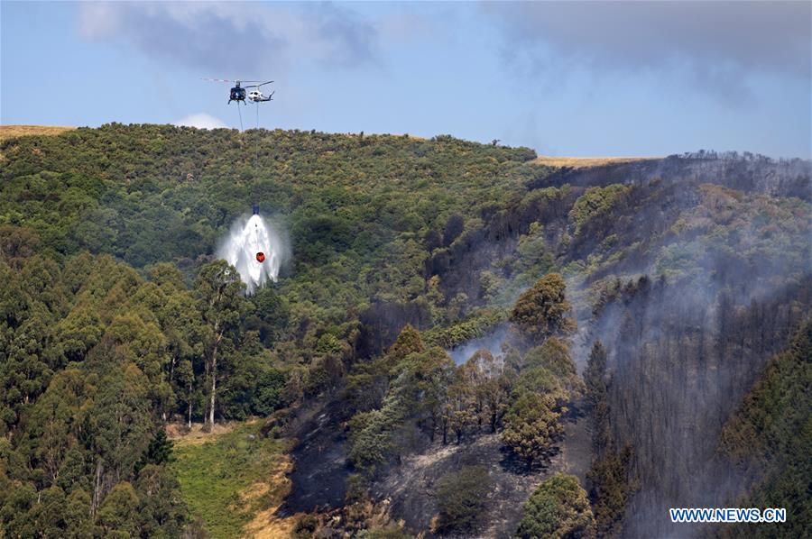 NEW ZEALAND-SOUTH ISLAND-WILDFIRE