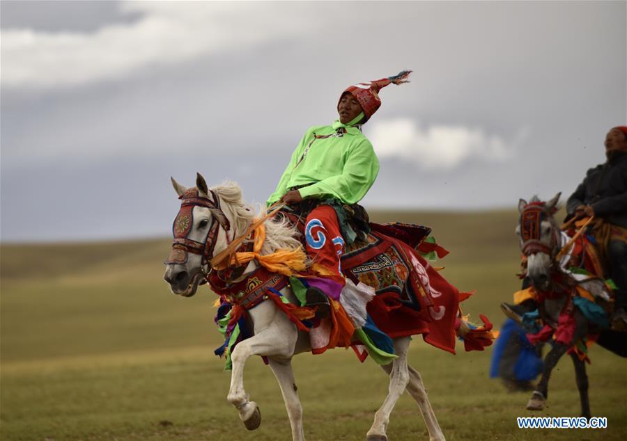 (InTibet) CHINA-TIBET-HORSE (CN)