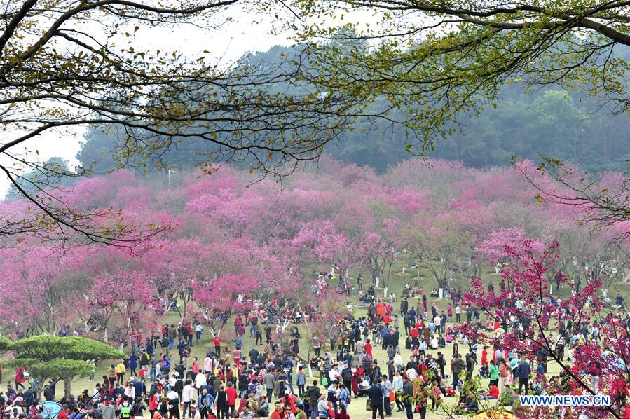 Xinhua Headlines: Lunar New Year consumption mirrors China's economic strength