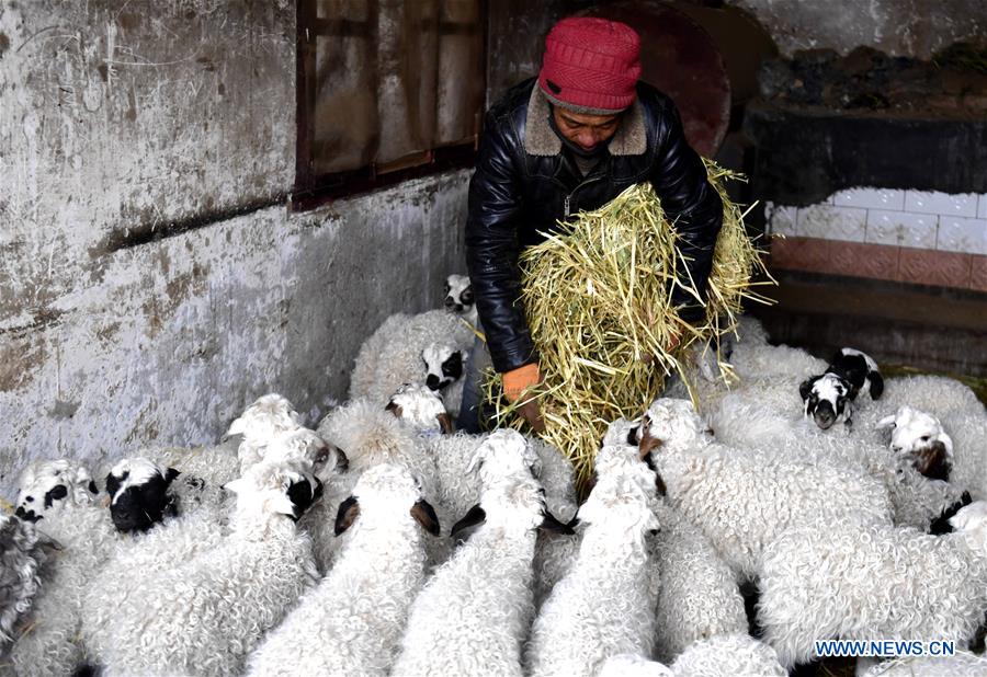 CHINA-QINGHAI-YUSHU-BLIZZARD (CN)