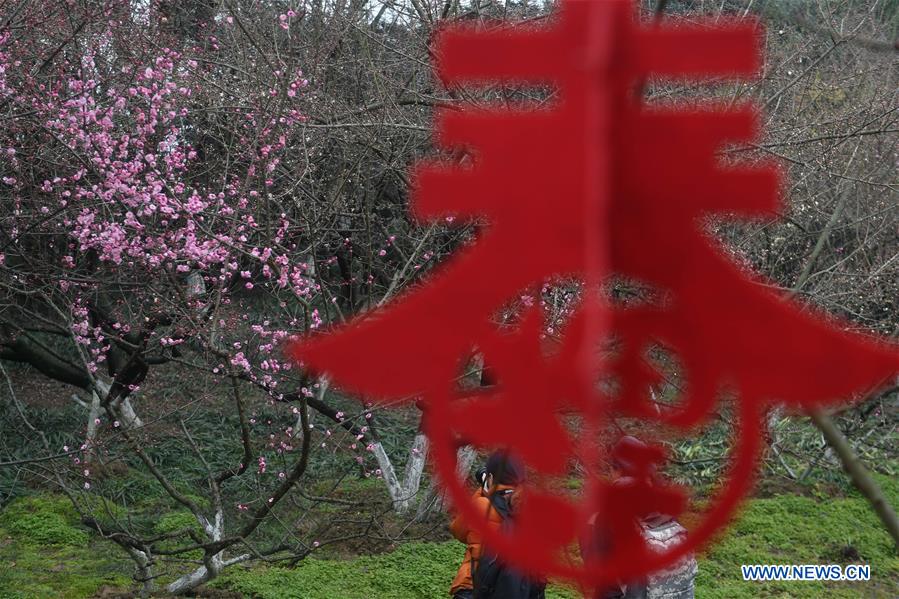 CHINA-HEFEI-PLUM BLOSSOM (CN)