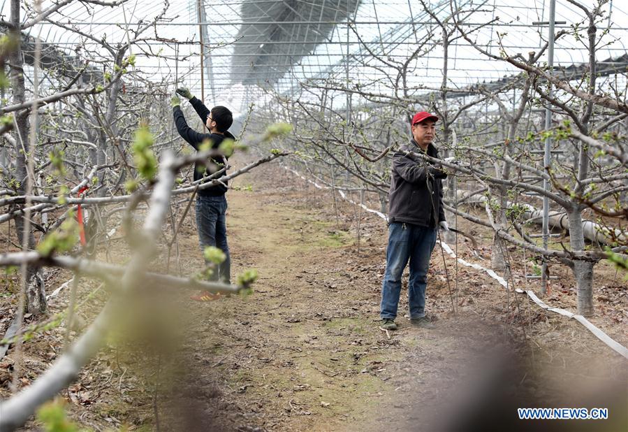 #CHINA-SPRING-FARMING (CN)