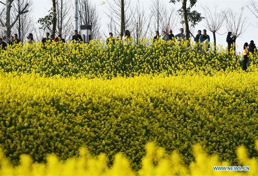 #CHINA-SPRING-FLOWERS (CN)