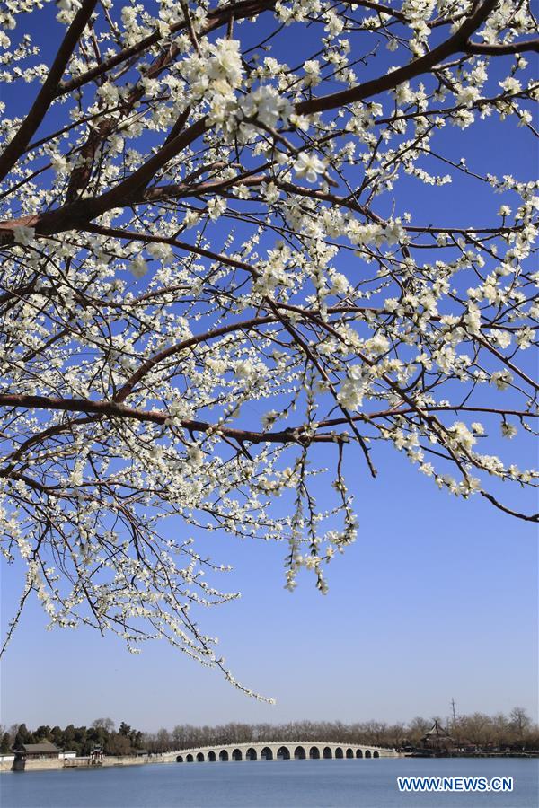 #CHINA-BEIJING-SUMMER PALACE-SCENERY (CN)