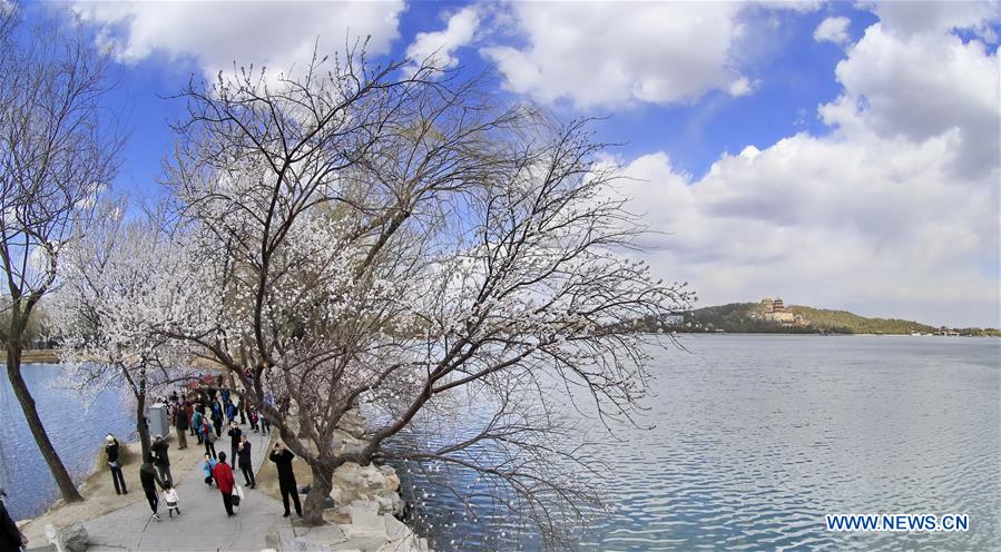 #CHINA-BEIJING-SUMMER PALACE-SCENERY (CN)