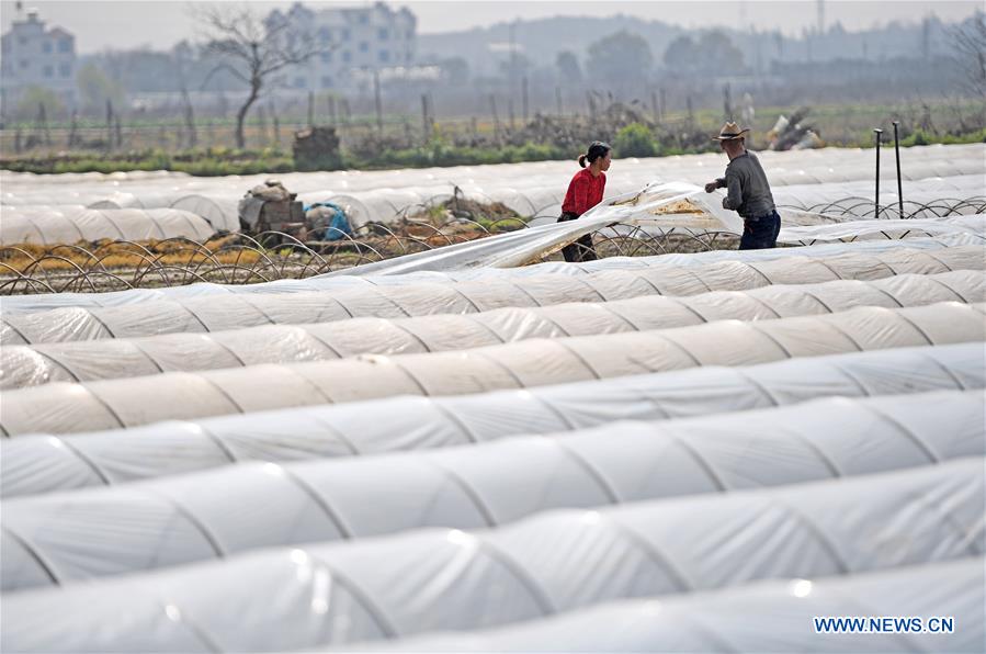 CHINA-JIANGXI-NANCHANG-FARM WORK (CN)