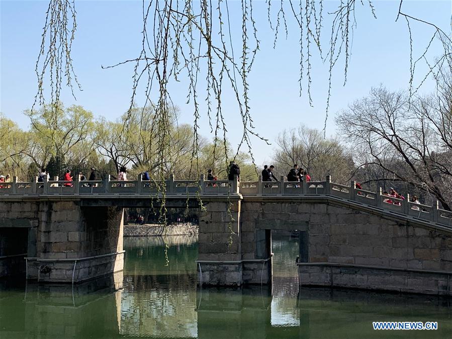 (BeijingCandid) CHINA-BEIJING-SPRING (CN)