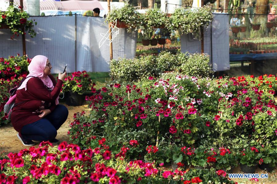 EGYPT-GIZA-FLOWER EXHIBITION