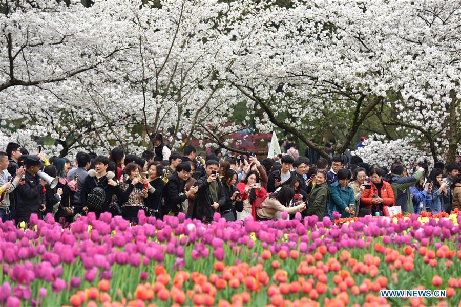 # CHINA-SPRING-SCENERY (CN)