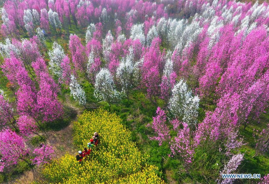 #CHINA-SPRING-SCENERY (CN)