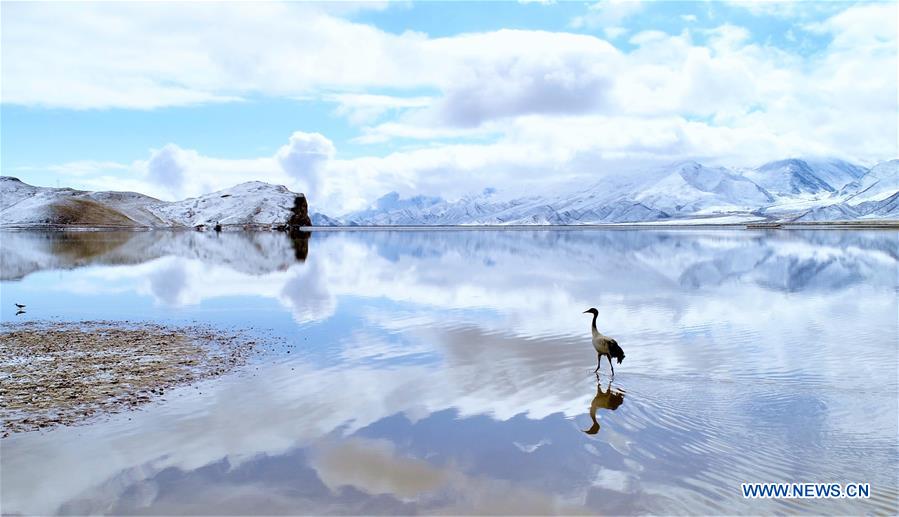 Xinhua Headlines: 60 years on, democratic reform leads to a modern Tibet