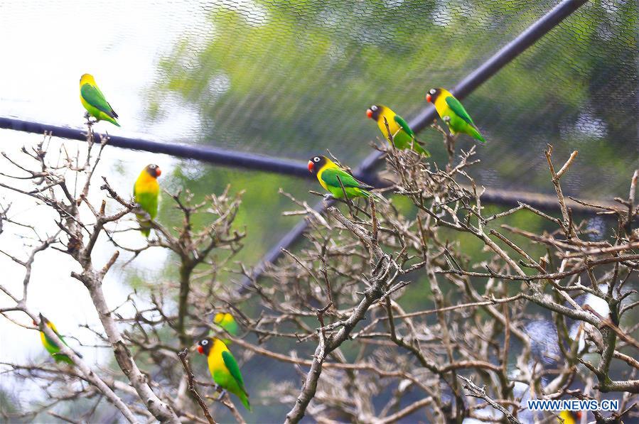 AUSTRALIA-ADELAIDE-ZOO