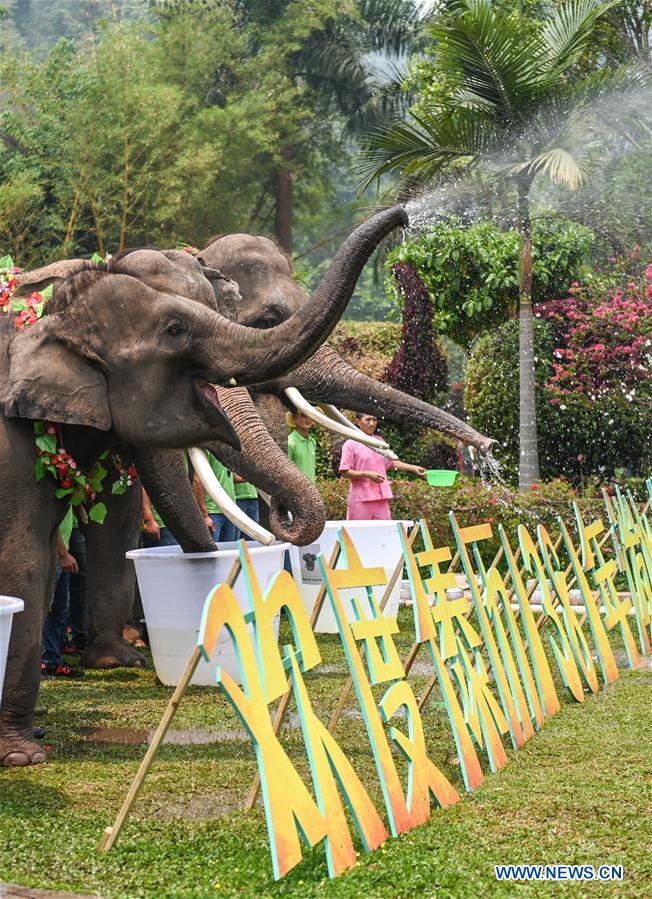 CHINA-YUNNAN-XISHUANGBANNA-WATER SPRINKLING FESTIVAL (CN)