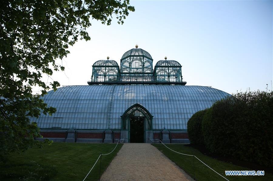 BELGIUM-BRUSSELS-ROYAL GREENHOUSES