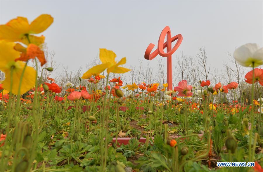 CHINA-BEIJING-HORTICULTURAL EXPO-VENUES (CN)