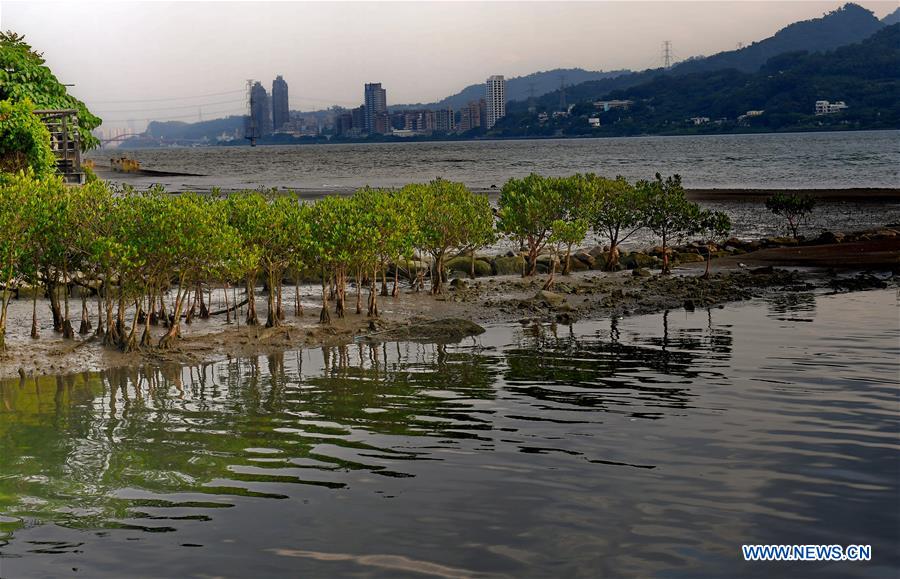 CHINA-TAMSUI RIVER-SCENERY (CN)