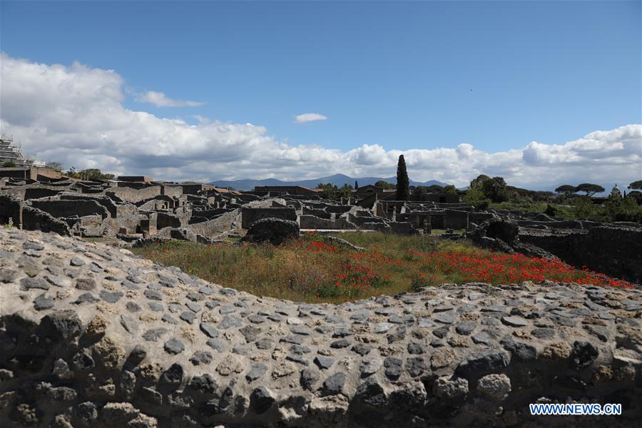 ITALY-CULTURE-ARCHAEOLOGY-POMPEII