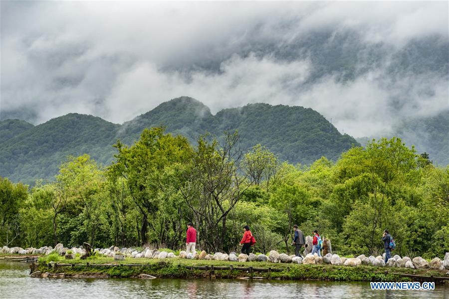 CHINA-HUBEI-SHENNONGJIA-SCENERY (CN)