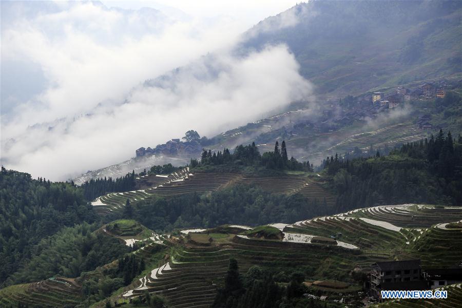 #CHINA-GUANGXI-TERRACED FIELD-SCENERY