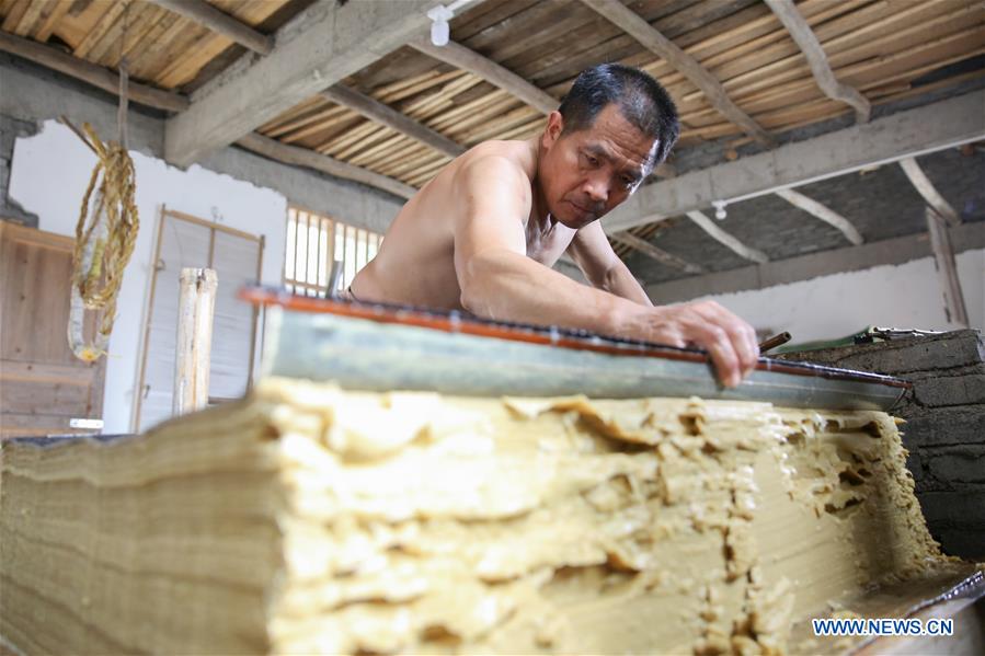 #CHINA-HUNAN-TANTOU-PAPERMAKING (CN)