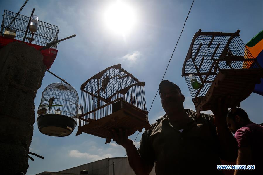 MIDEAST-GAZA-WILD-BIRDS-MARKET