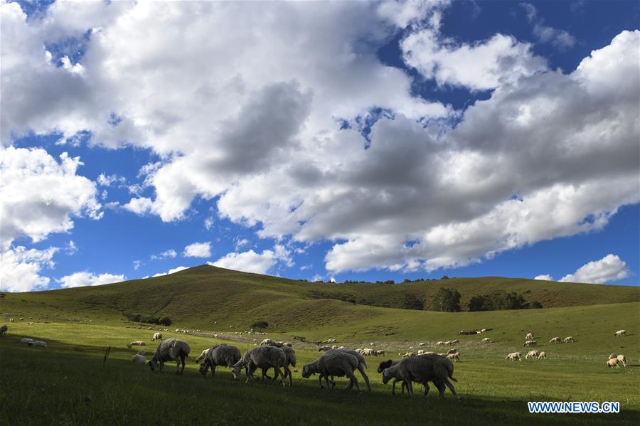 #CHINA-INNER MONGOLIA-GRASSLAND (CN)