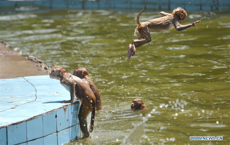 KASHMIR-SUMMER-HEAT WAVE