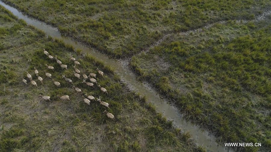 CHINA-MIGRATORY BIRD SANCTUARIES-UNESCO-WORLD HERITAGE LIST (CN)