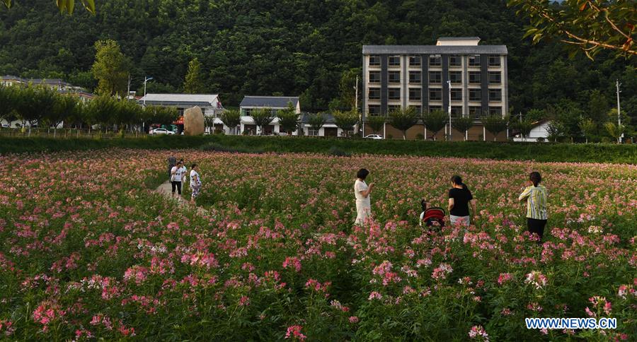 CHINA-SHAANXI-FLOWERS-TOURISM(CN)