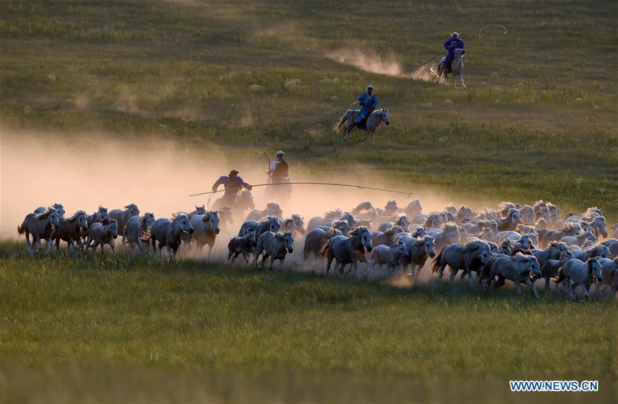 CHINA-INNER MONGOLIA-HORSE LASSOING (CN)