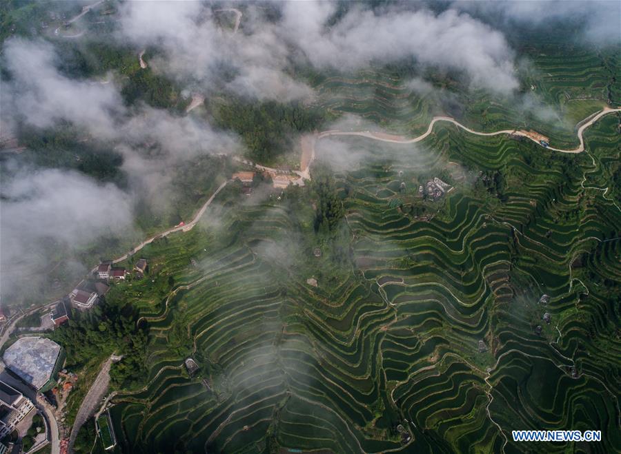 CHINA-ZHEJIANG-QINGTIAN-TERRACED FIELDS-ECOLOGICAL AGRICULTURE (CN)