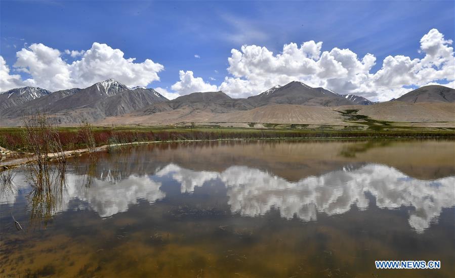 CHINA-TIBET-ALI-SCENERY (CN)