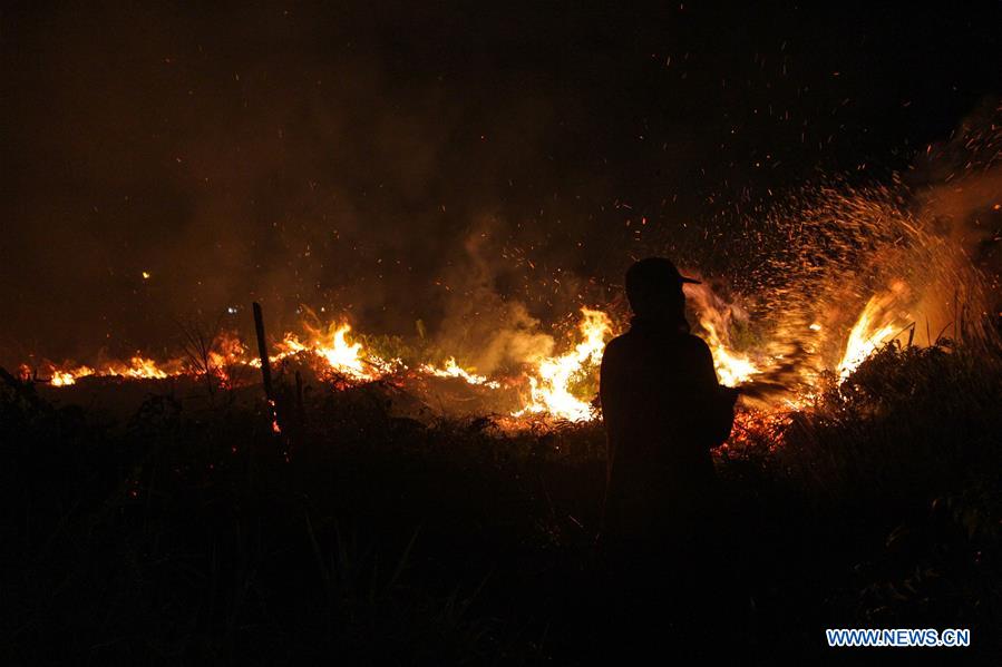 XINHUA PHOTOS OF THE DAY