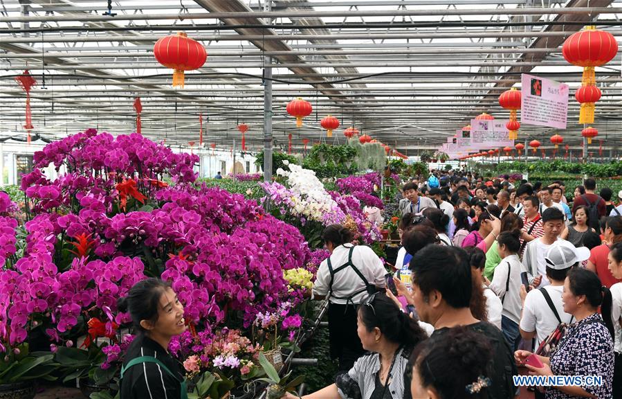 CHINA-JILIN-CHANGCHUN-AGRICULTURE EXPO (CN)