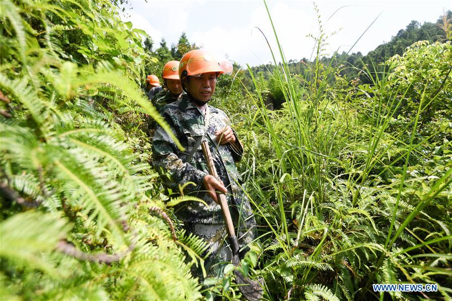 CHINA-JIANGXI-FOREST RANGER (CN)