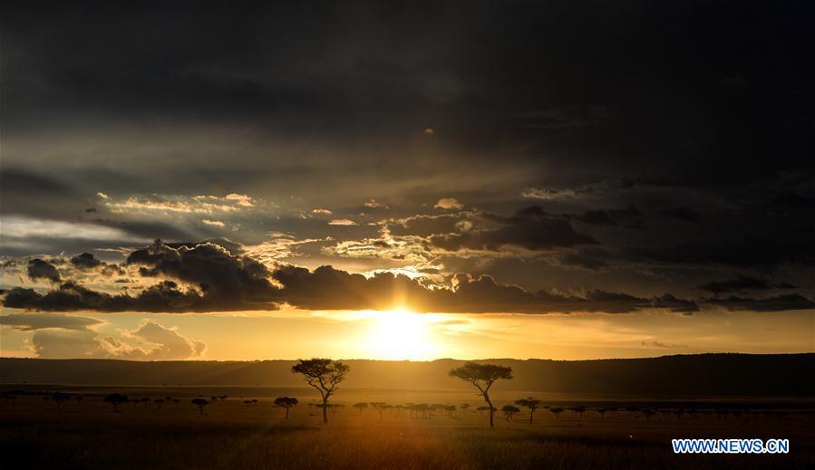 KENYA-ECOLOGY-CHINA-BEIJING-HORTICULTURAL EXPO-KENYA DAY 