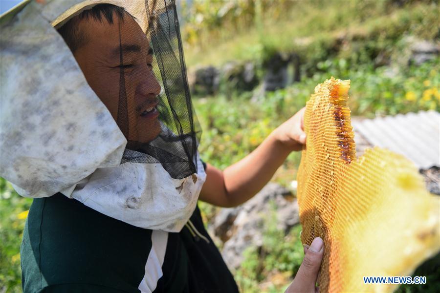 CHINA-HUNAN-XIANGXI-APICULTURE (CN)