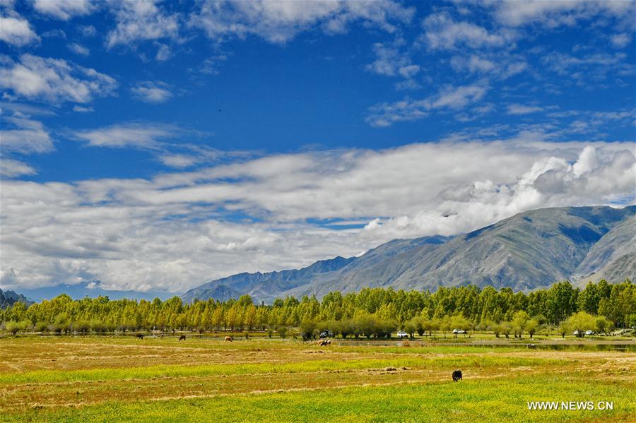 CHINA-LHASA-GOLDEN POND-SCENERY (CN)