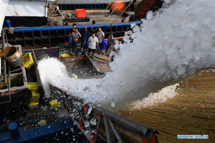 CHINA-ZHEJIANG-NINGBO-FISHING SEASON (CN)