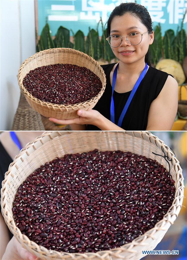 CHINA-GUANGXI-DU'AN-AGRICULTURAL PRODUCT-TRADE FAIR (CN)