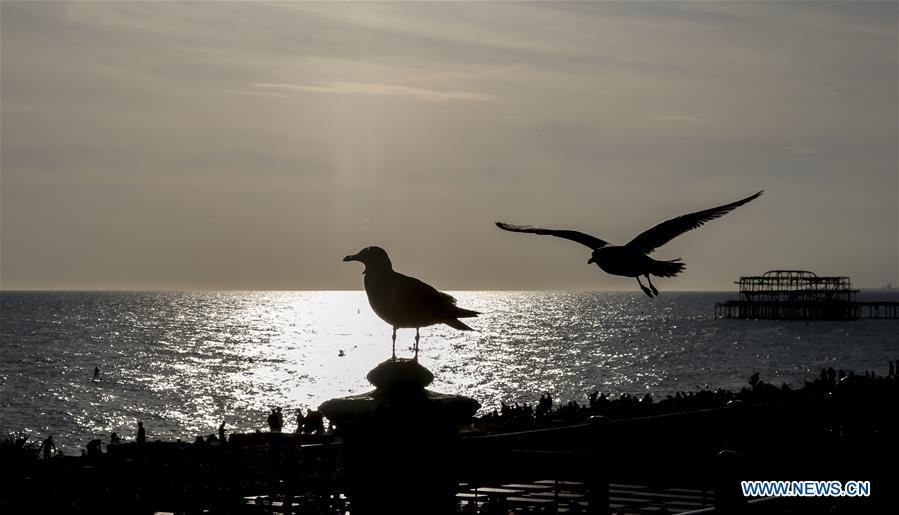 BRITAIN-BRIGHTON-BEACH